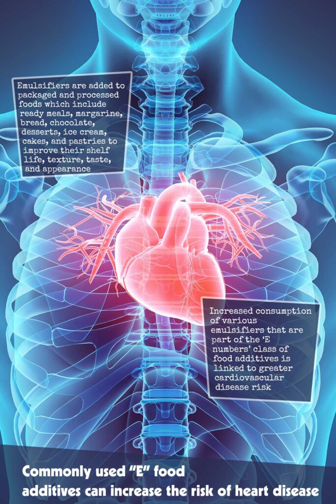 Commonly Used “E” Food Additives Can Increase the Risk of Heart Disease
