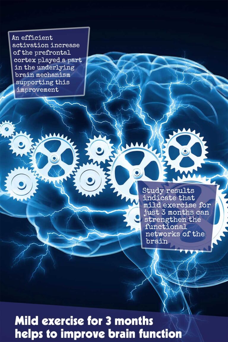 Mild-exercise-for-3-months-helps-to-improve-Brain-function